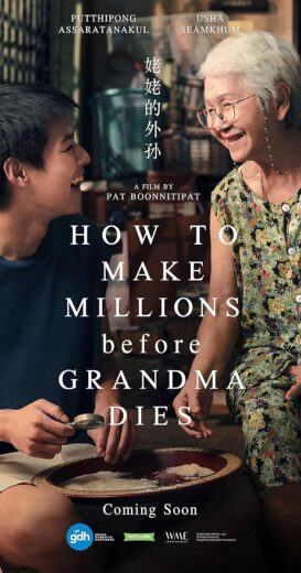 مشاهدة فيلم 2024 How to Make Millions Before Grandma Dies مترجم